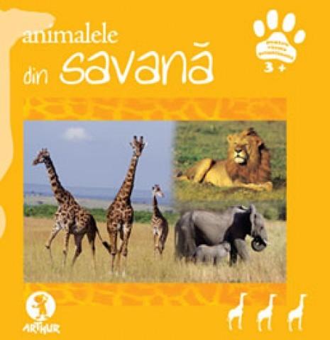 Animalele din savana 