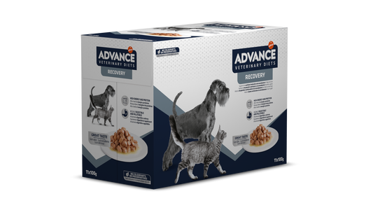 Advance Veterinary Diets Dog & Cat Recovery, 11x100 g