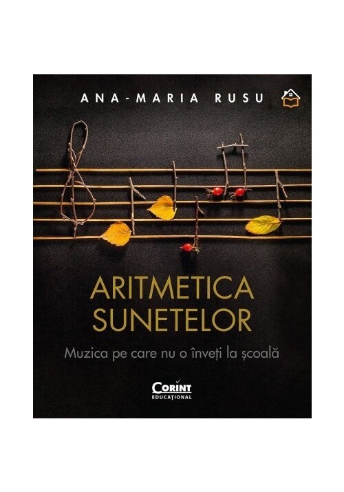 Aritmetica sunetelor. Muzica pe care nu o inveti la scoala