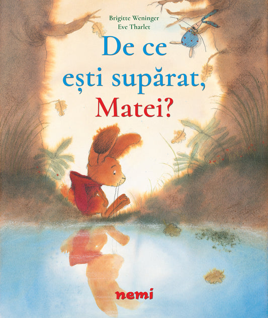 De ce ești supărat Matei? - Brigitte Weninger Eve Tharlet - Brigitte Weninger Eve Tharlet