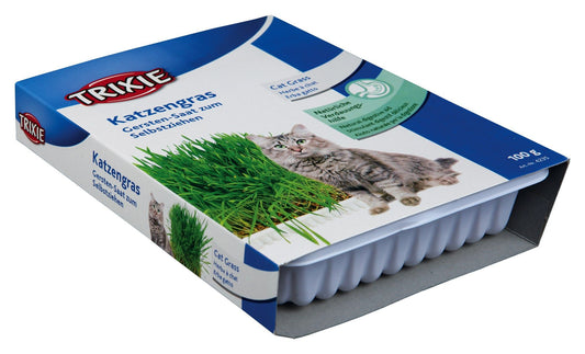 Castron Plastic cu Seminte de Iarba 100 g 4235