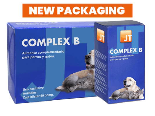 JT-Complex B, 60 tablete