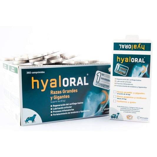 Hyaloral Large Breed, 12 tablete