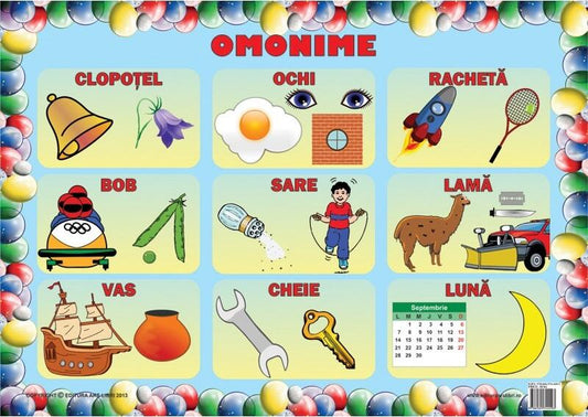 Set planșe - Omonime - Ars Libri