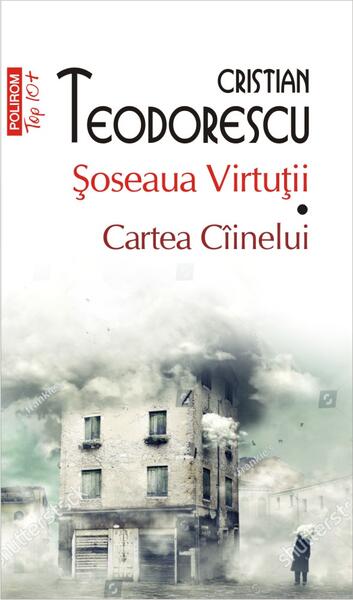 Şoseaua Virtuții. Cartea Cîinelui (Top 10+) - Cristian Teodorescu - Polirom