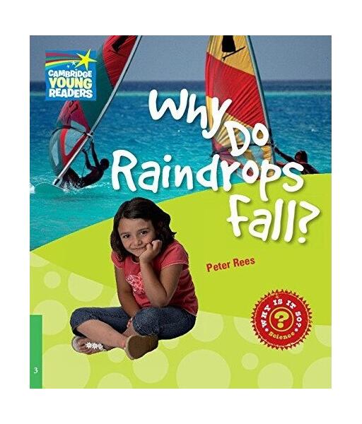 Why Do Raindrops Fall? Level 3 Factbook - Peter Rees - Cambridge