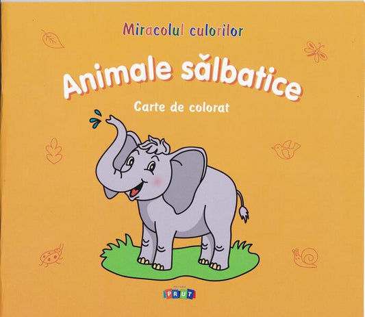 Animale sălbatice. Carte de colorat - Victoria Raţă - Prut