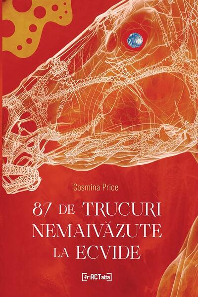 87 de trucuri nemaivăzute la ecvide - Fractalia