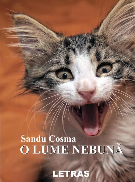 O lume nebună - Sandu Cosma - Letras
