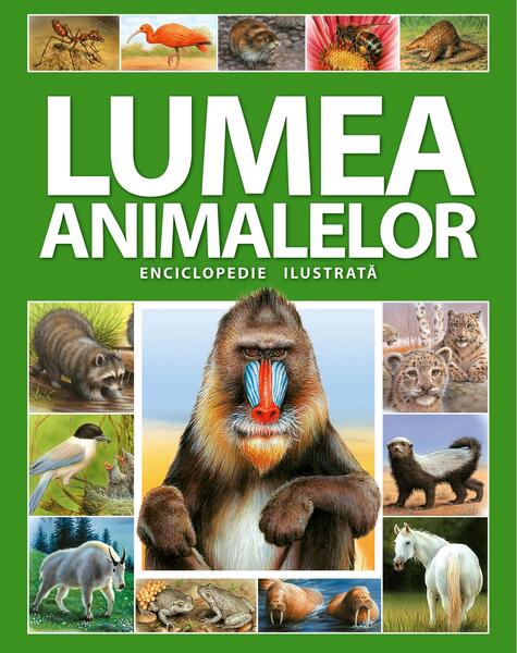 Enciclopedie ilustrată: Lumea animalelor - Kreativ