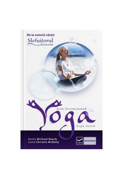 Cum functionează Yoga - Geshe Michael Roach - Vidia