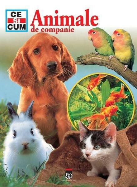 Animale de companie - Mihai Moroiu - RAO