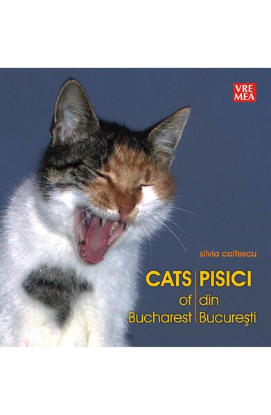 Pisici din București - Cats of Bucharest - Silvia Colfescu - Vremea
