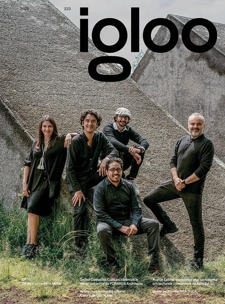 Igloo 223 / Profil de arhitect: C733 / Decembrie 2024 – Ianuarie 2025 - Paperback brosat - *** - Igloo