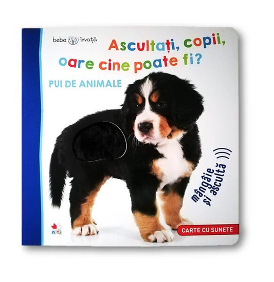 Ascultați, copii, oare cine poate fi? Pui de animale - Litera mică
