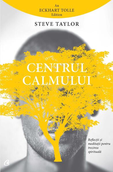 Centrul calmului - Steve Taylor - Curtea Veche
