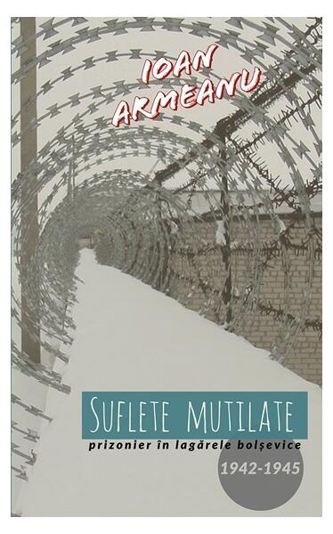 Suflete mutilate - Ioan Armeanu - Letras