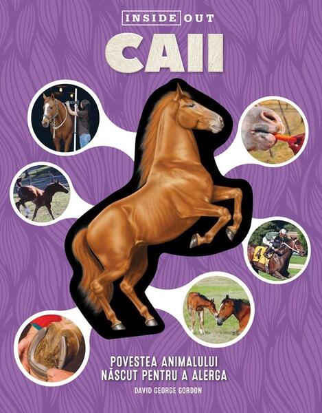 Caii - David George Gordon - Kreativ