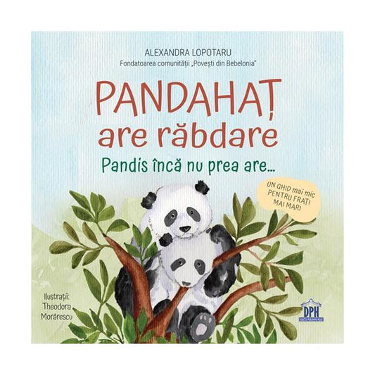 Pandahaț are răbdare - Alexandra Lopotaru - Didactica Publishing House