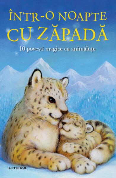 Într-o noapte cu zăpadă - Ana Dragomirescu - Litera