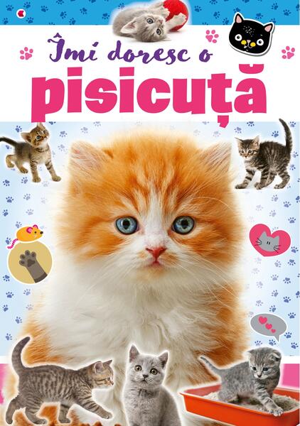Îmi doresc o pisicuță - Kreativ