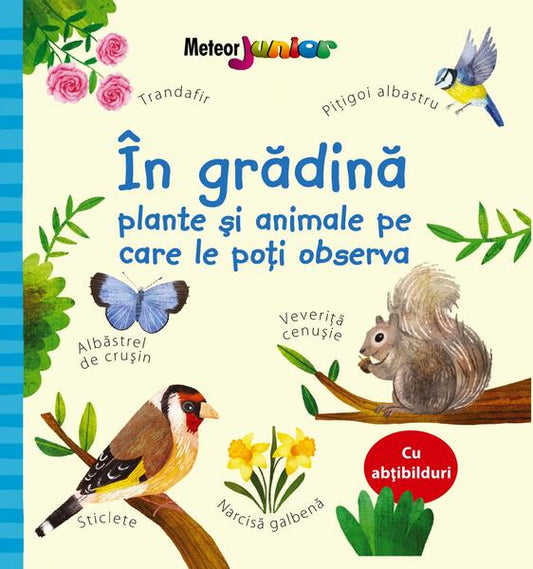 În grădină – plante și animale pe care le poți observa - Meteor Press