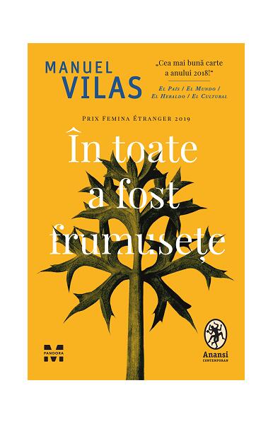 În toate a fost frumusețe - Manuel Vilas - Pandora M