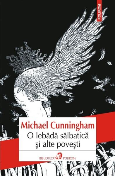 O lebădă sălbatică și alte povești - Michael Cunningham - Polirom