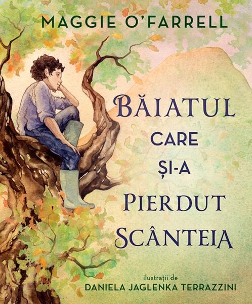 Băiatul care și-a pierdut scânteia - Maggie O'Farrell - Didactica Publishing House