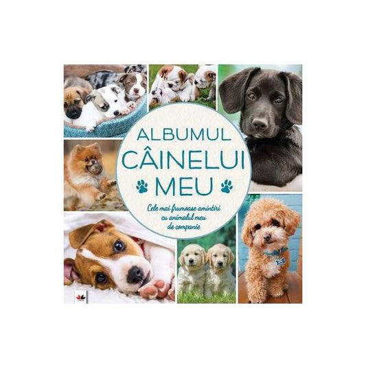 Albumul câinelui meu - Litera
