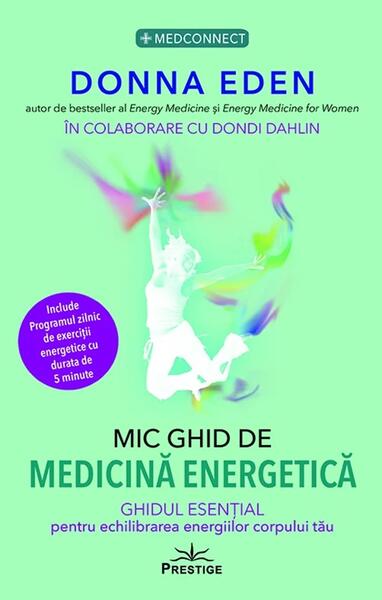 Mic Ghid de Medicină Energetică - Paperback brosat - Donna Eden - Prestige