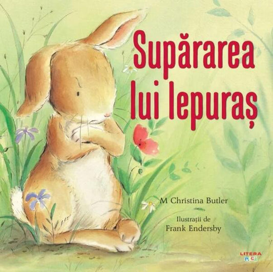 Supărarea lui Iepuraș - M. Christina Butler - Litera mică