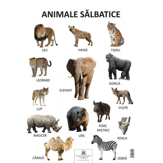 Planșă - Animale sălbatice - Didactica Publishing House