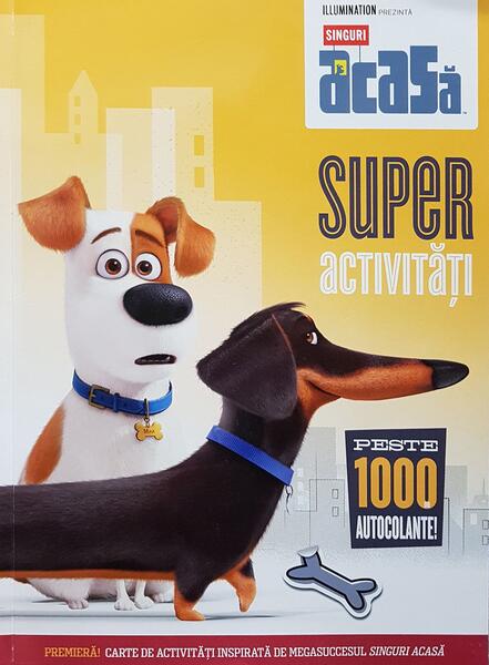Singuri acasă: superactivități - Litera