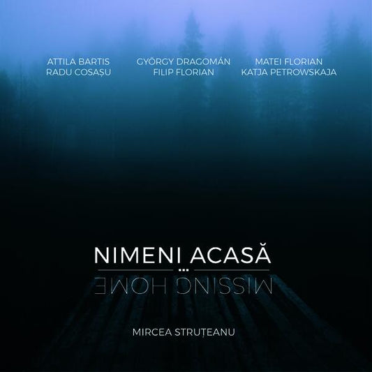 Album Nimeni acasă / Missing Home - Mircea Struțeanu - Vellant
