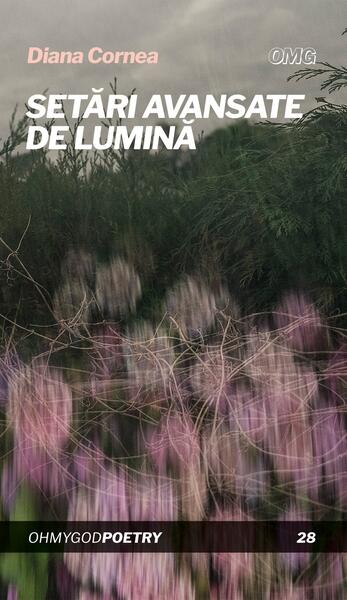 Setări avansate de lumină - Diana Cornea - OMG Publishing House