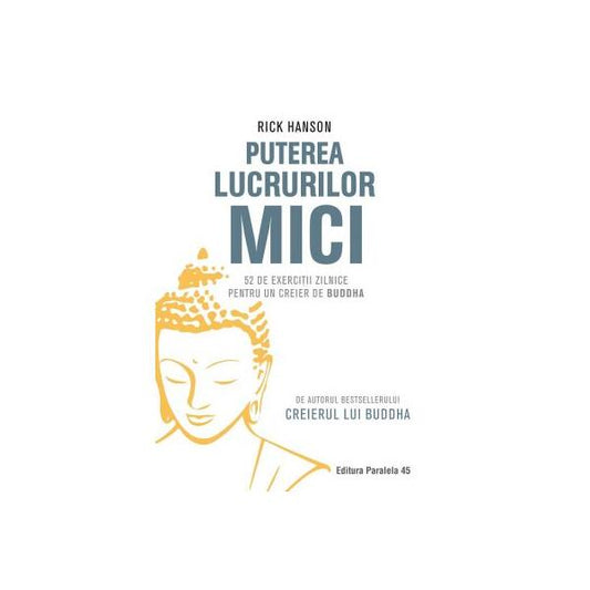 Puterea lucrurilor mici. 52 de exerciții zilnice pentru un creier de Buddha - Dr. Rick Hanson - Paralela 45