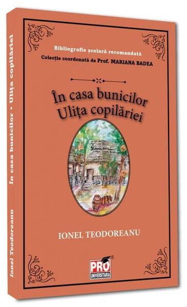 În casa bunicilor. Ulița copilăriei - Pro Universitaria