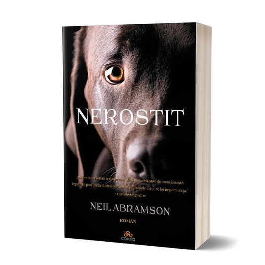Nerostit - Paperback - Neil Abramson - Act și Politon