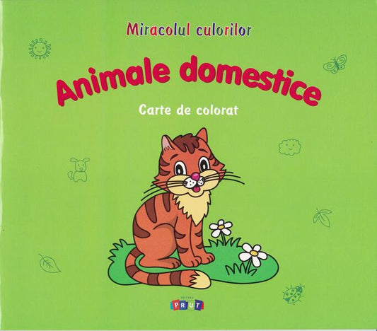 Animale domestice. Carte de colorat - Victoria Raţă - Prut