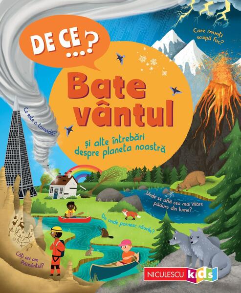 De ce…? Bate vântul şi alte întrebări despre planeta noastră - Paperback brosat - Niculescu