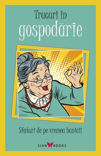 Trucuri în gospodărie - Lili Dănilescu - Sian Books