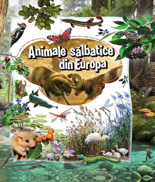 Animale sălbatice din Europa - Kreativ