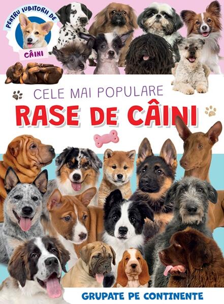 Cele mai populare rase de câini - Kreativ