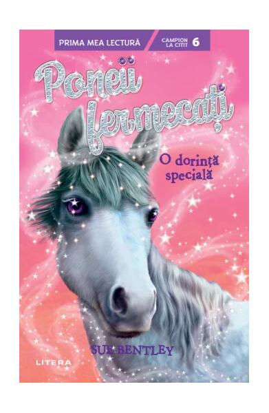 O dorință specială (Vol. 2) - Sue Bentley - Litera