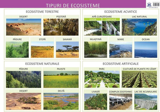 Tipuri de ecosisteme - Planșă educativă - Florica Alexandrescu - Didactica Publishing House