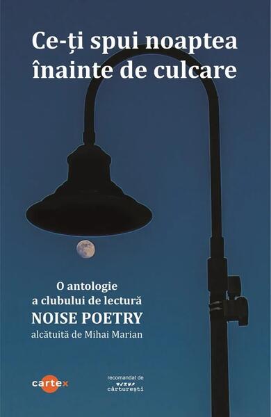 Ce-ți spui noaptea înainte de culcare - Paperback brosat - Cartex