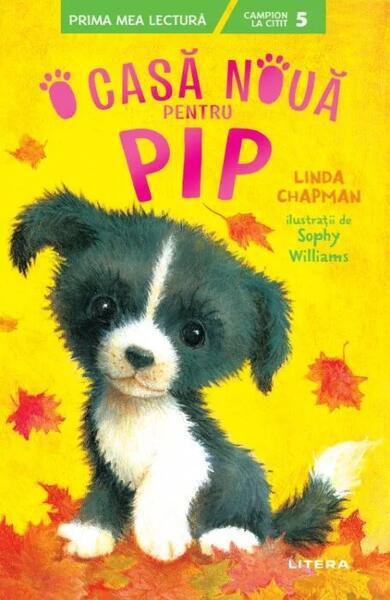 O casă nouă pentru Pip - Linda Chapman - Litera