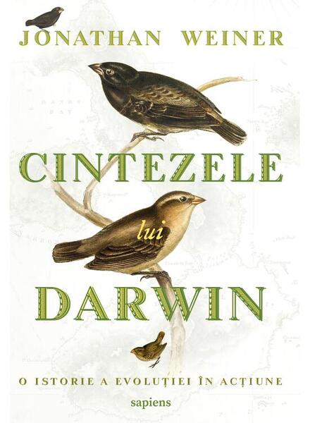 Cintezele lui Darwin - Art