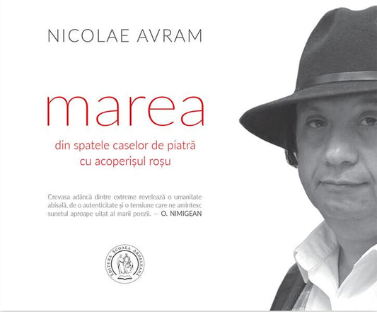 marea din spatele caselor de piatră cu acoperișul roșu - Nicolae Avram - Școala Ardeleană